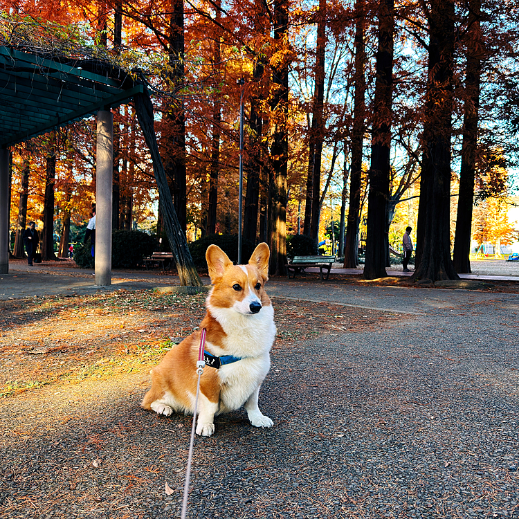 寒〜い朝☀️ミルには季節本番。