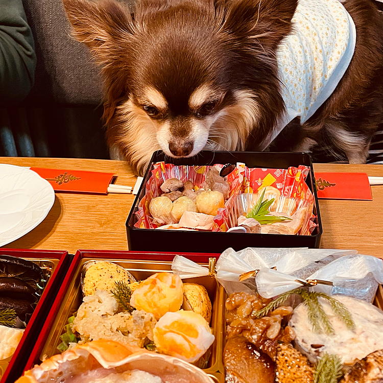 お肉食べたい〜😃お正月からもりもり食べましたよ🌺