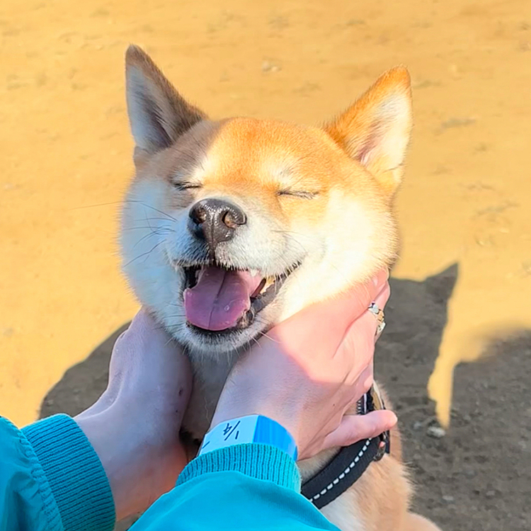 今年もよろしくお願いします✨