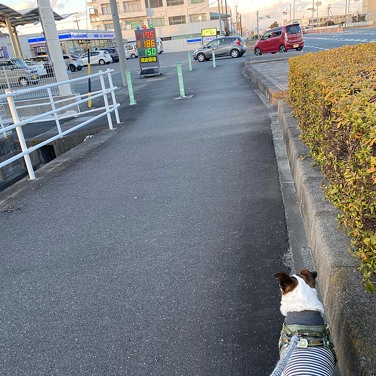 明日から政府の補助なくなり5円高くなるので
ガソリン⛽️入れる車で混んでます