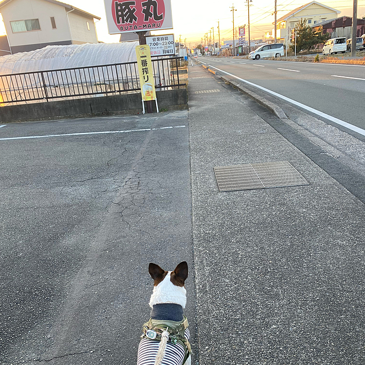 今の時間はラッシュアワーじゃないから
