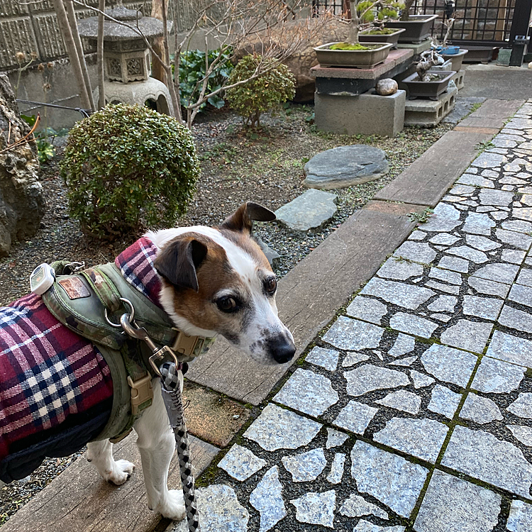 今日も3月なみの陽気