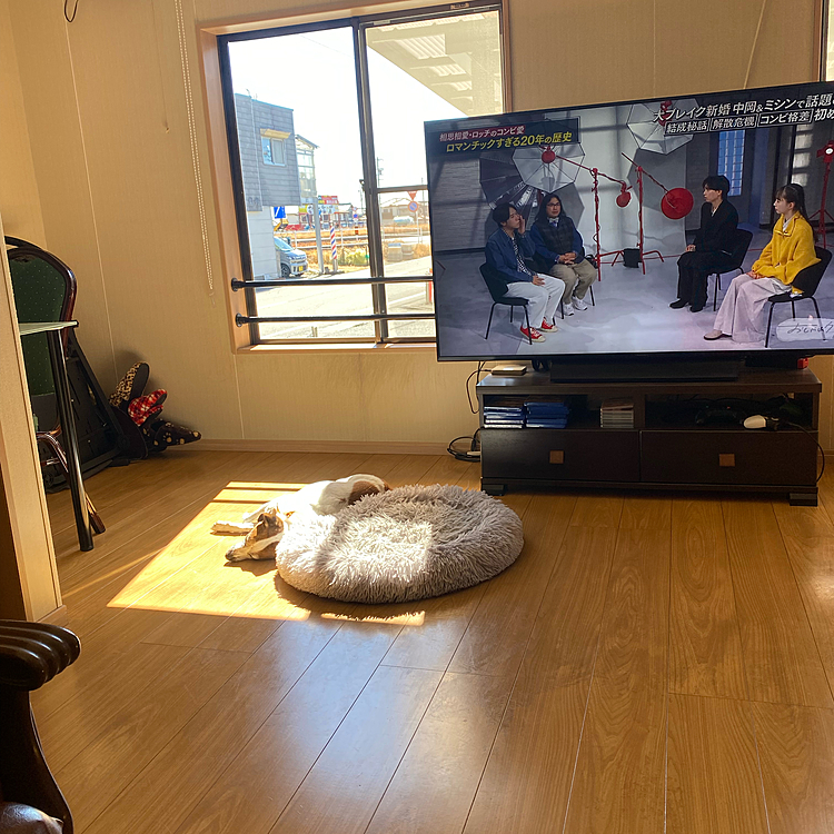 三連休最終日もめちゃくちゃ快晴