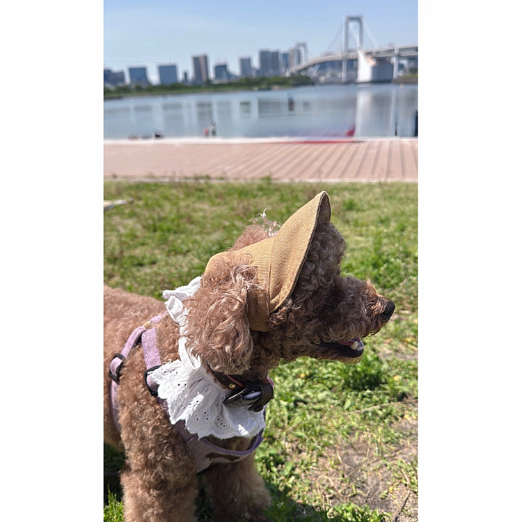 消しゴムマジックで賑わってる人を消してみました





