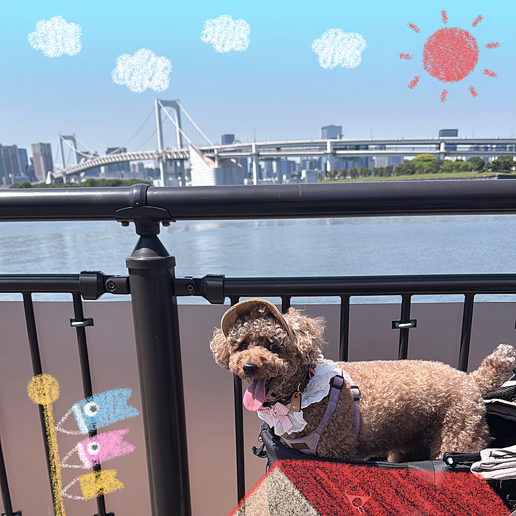 こどもの日🎏ですね






