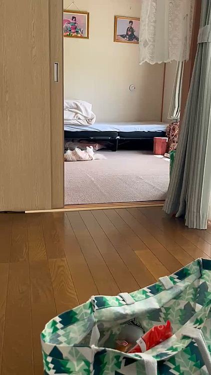 見られてるとわかるとやめるポコちゃん😆
何やってるの?🤭