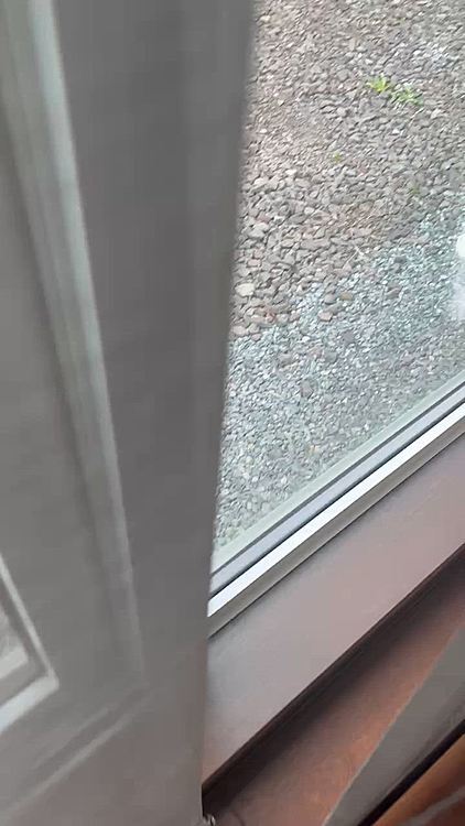 虫さんいたのかな?気になるねー😆