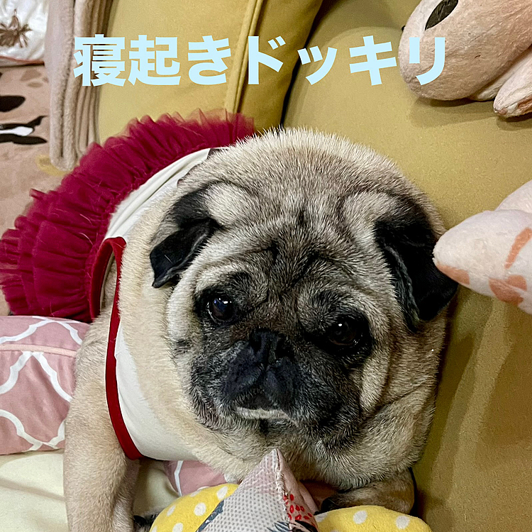寝る子は育つ💤