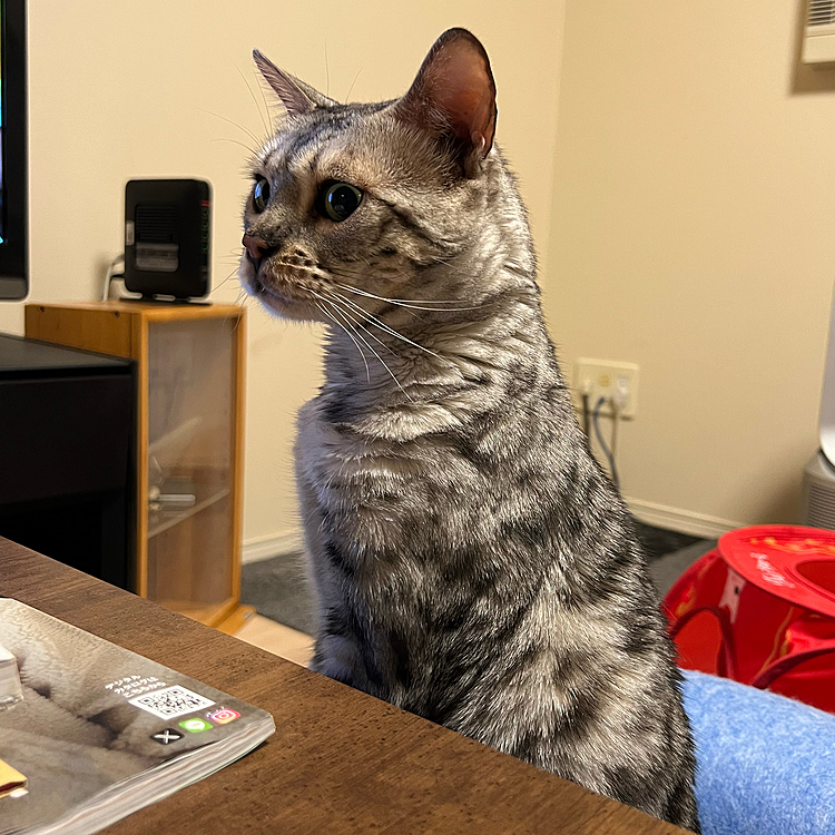 猫背とは。