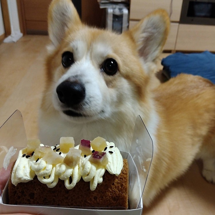 お芋のロールケーキ