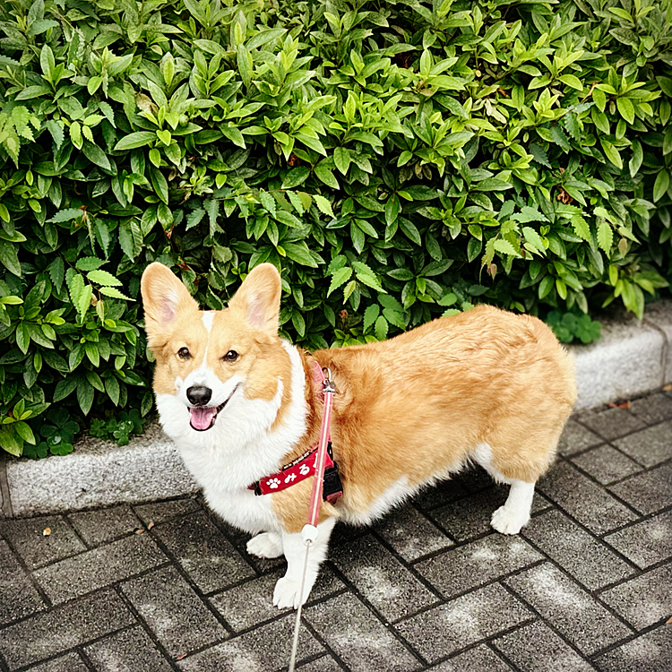 雨上がりました♪いい笑顔が見れました♪♪