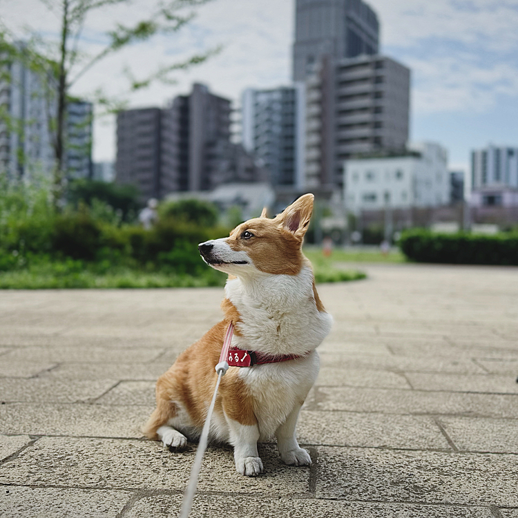 行きたい所に行けてご機嫌な様子。