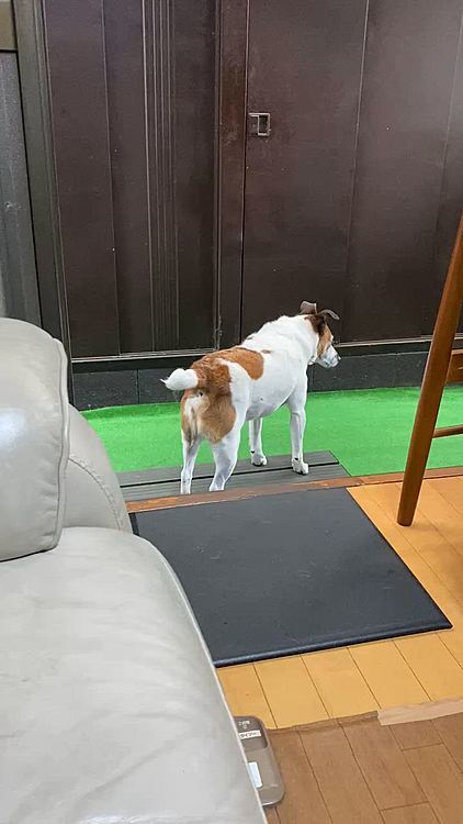 息子が出かけたので、戻ってくるのを待ち