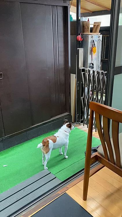更に待ち


