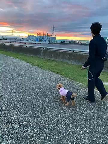 夜は花火🎇
いつも対岸の離れた場所から鑑賞しますが、この日は気温も低くてかなりの強風🌬️
上着もブランケットも用意したけどそれでも寒くて途中で退散💦
帰り道そろそろ終了のタイミングで近くで見れそうなスポットがあったので再度鑑賞🎆
次回からこの場所で見たいと思います😁