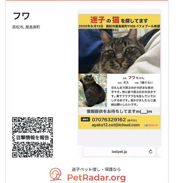 香川県の方でこの子を探してます。
もし、見かけた方がいたら
コメントでもいいので
連絡お願いしたいです。
よろしくお願い致します。