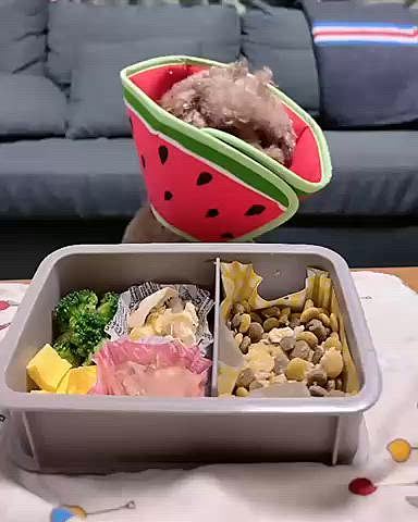 今度こそ、食べたよ！

今日はちょっと品数多いけど

いつもトッピングが半分占めてます

卵焼きが上手くできました

8倍速






