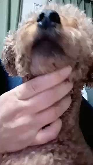 お口まわりのカイカイ

撮ったんだけどうまくいかず

アゴにはかさぶたが…

一瞬のうんこ💩くんたちは

下痢したんです

２日続けて






