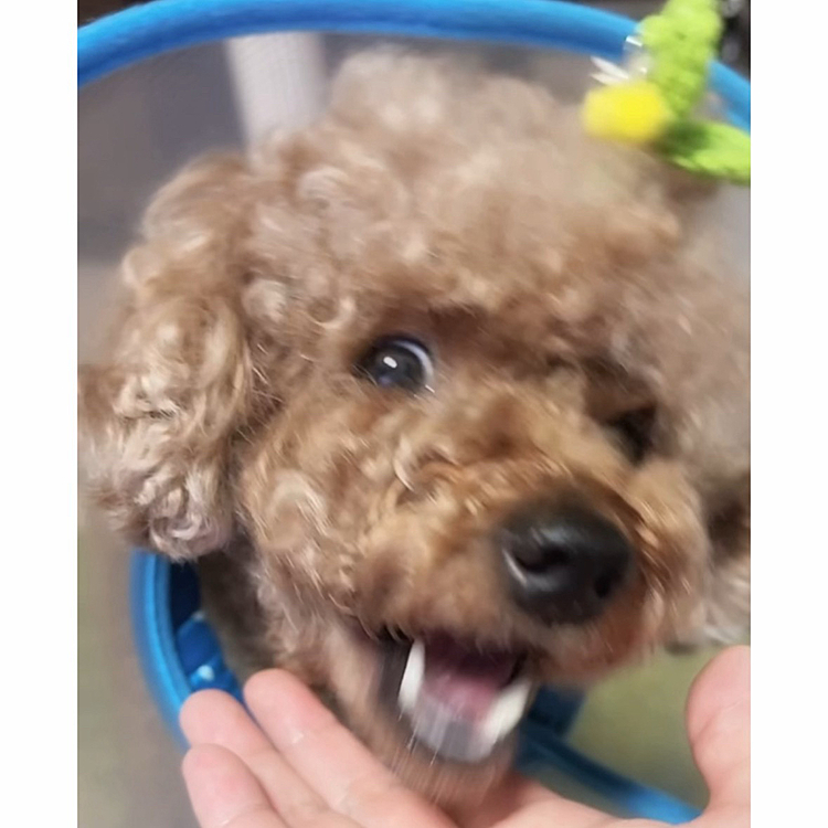 ひゃはー!