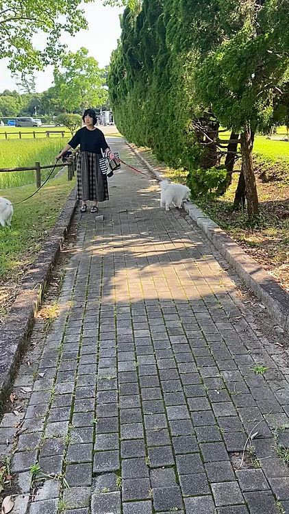 あらあら、奥ではお相撲大会が、、