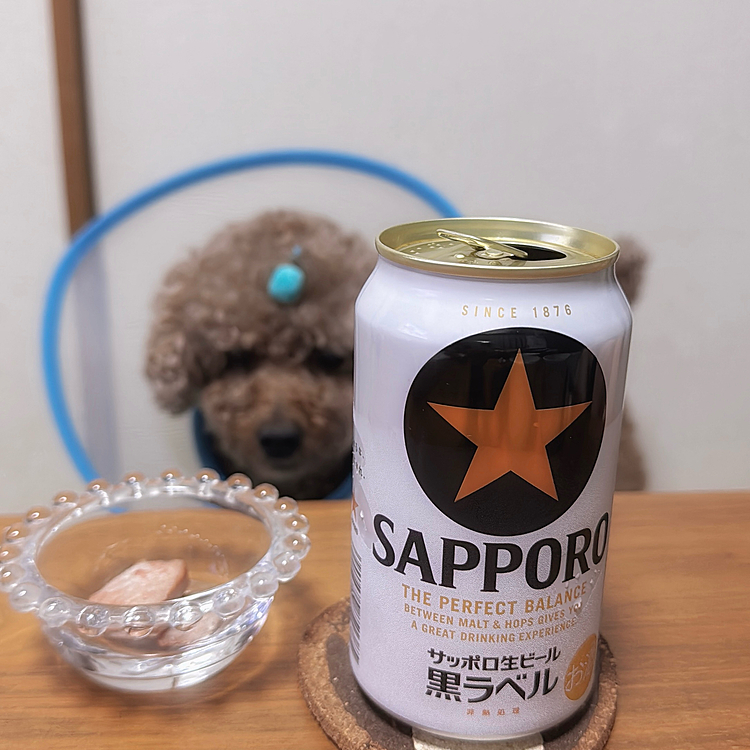 ビールが主役🤣ピントがビールだよ

マグロの刺身を素焼きしてジャーキーにしました

人間用のおつまみじゃなくて

ライちゃんのおやつだよ

