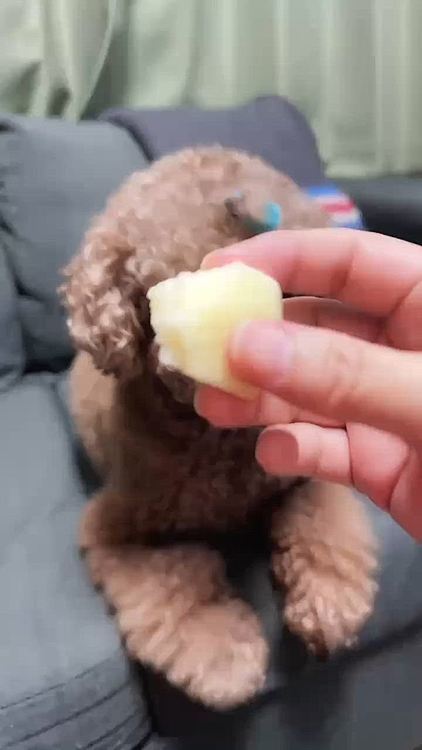 セブンのりんご🍎






