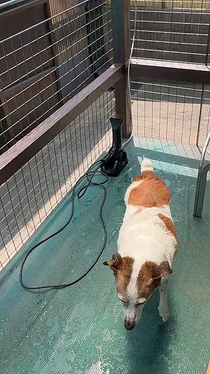 ここで
ドライヤーかけます
今日3日目だから水濁ってきた💦