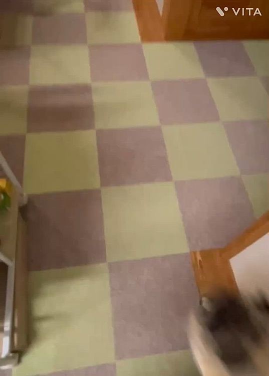 今日も完食でした🤗