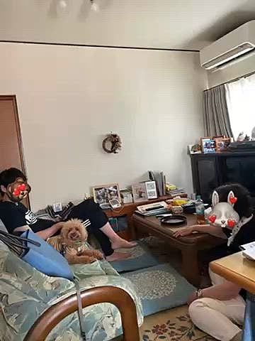 義兄宅では従妹犬のハピ子ちゃんとハッピーはパパさんにべったり💕
全くヤキモチを妬かないハッピーです🐶

会社の人に美味しいちゃんぽん屋さんがあると聞いたので話をしたら何と義兄も40年近く通っているお店と判明しテイクアウトして皆で食べました😋
テイクアウト出来るメニューは限られていますが美味しかったです♪
父作のスイカは今年も甘かったね🍉

食べ物ネタしか無くてすいません😅
