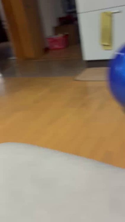 ひとりで遊んでくれるから
ほんのひとときのくつろぎを得られます😅