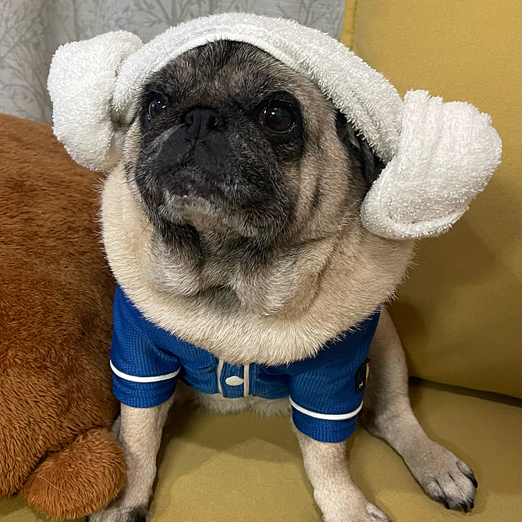 羊巻きでくつろいでます♨️