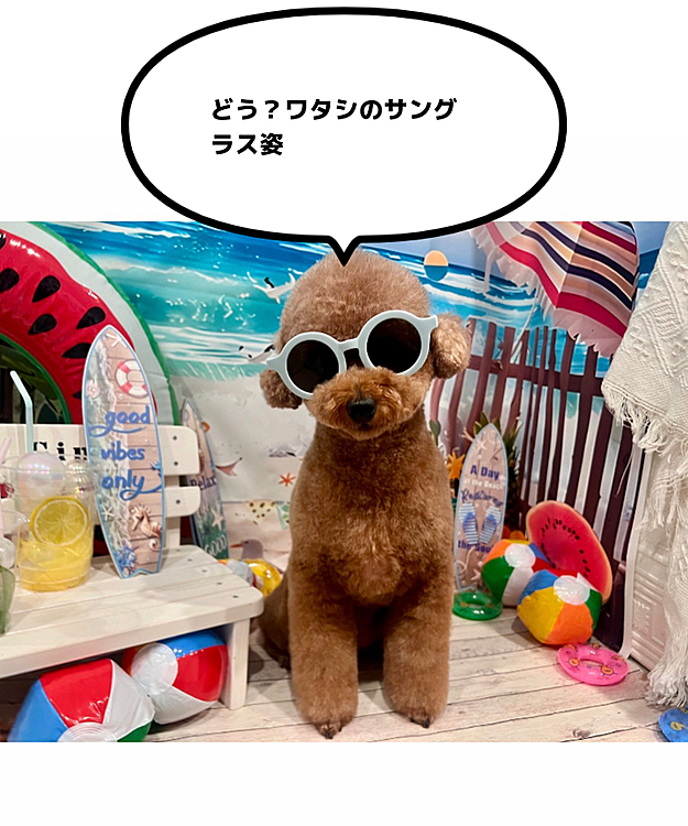 可愛いー😍

親バカが言ってます





