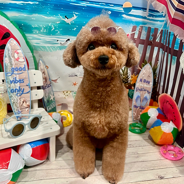 ちっちゃいサングラスも頭にのせてもらってる！






