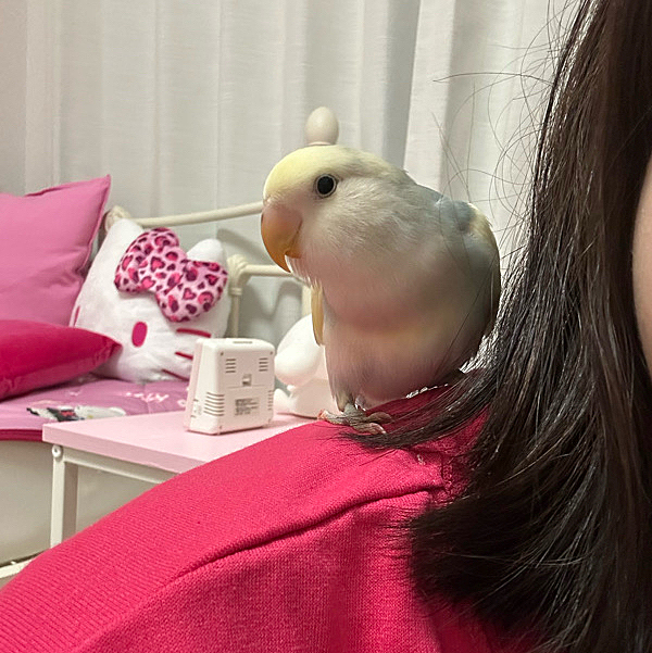 カメラ目線失礼します🤭
