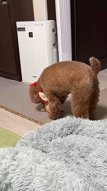 このぬいぐるみ気に入ってます