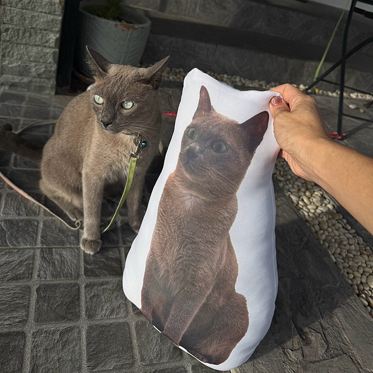 嫁が変なクッション作ってきた。😅