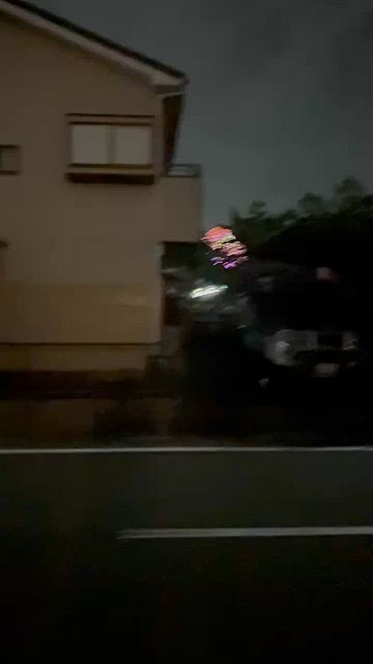 我が家の庭から見ていた