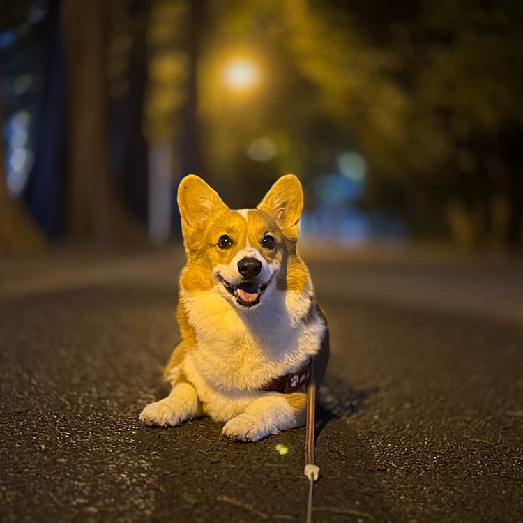 雨の合間にしっかりお散歩してきました♪