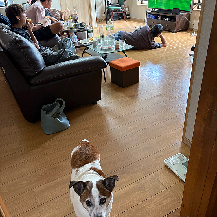 またまた、ゴルフ⛳️ゲーム
次男は昨日コースいったばかり
長男は、私や私の妹夫婦と11時間桃太郎電鉄やったばかり😅