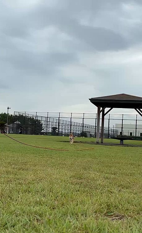 雨がポツポツ降ったりやんだりの中ひとっ走り☺️