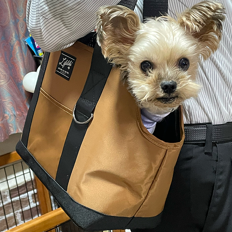 お揃いのカバン買いました！
ジャストサイズでいい感じです☺️