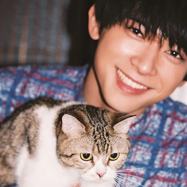 ＊猫🐈🐾カフェと共に......＊

💖吉沢亮くん💖
