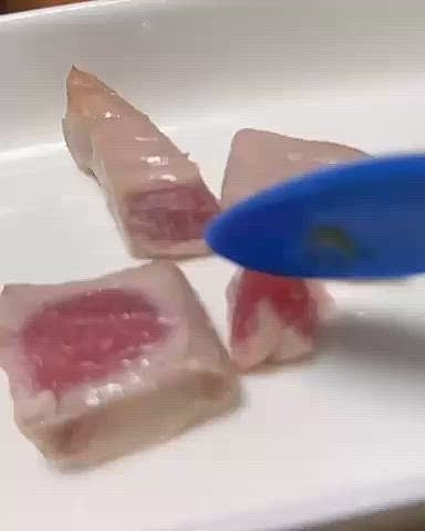 お刺身用なのでレアで焼きました

たぶん大好物だと思います😊

タンパク質は限られたものからしか食べられないし、お魚は好物です

トリミングしたご褒美だよ❤️





