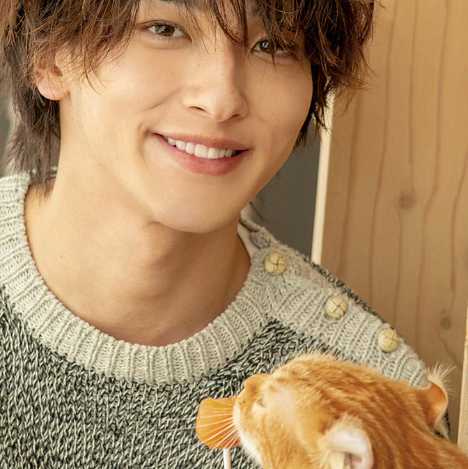 猫ちゃん可愛い((o(｡･ω･｡)o))
抱っこしたい………!!!