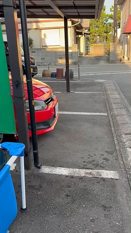 夕方はいつも通りのタイガー🐯プール