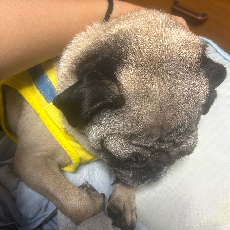 夢の中😴😴😴💤