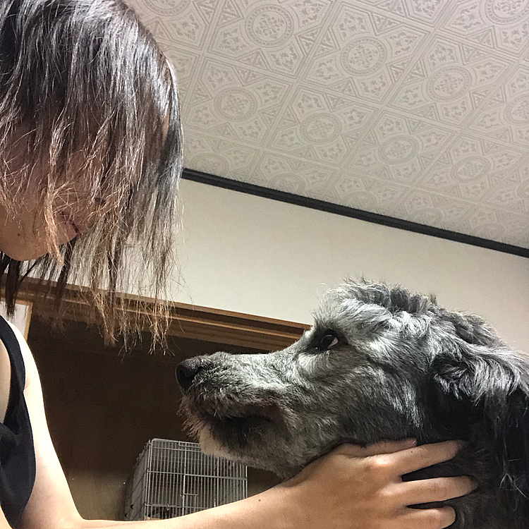 ママとクロくん見つめあってます❤️