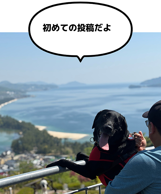 はんべえだよ
よろしくね