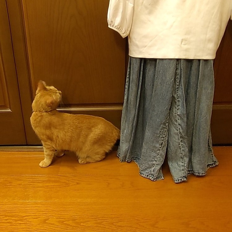 実物じゃなかったね😅