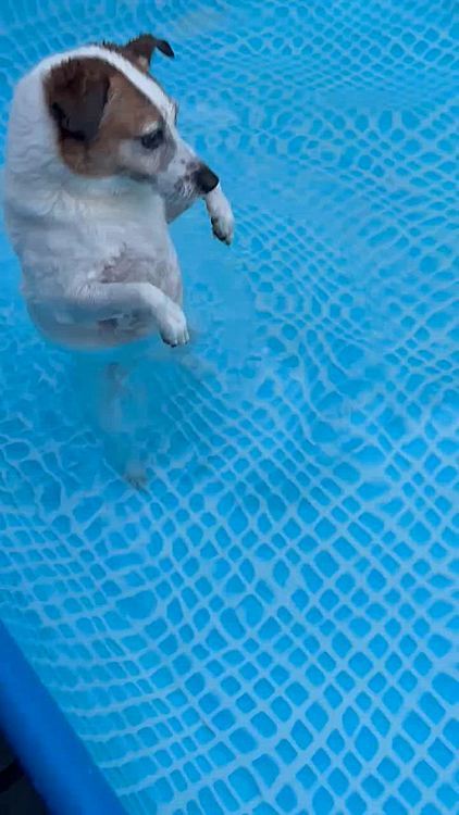 もう出るよ‼️
の言葉に戸惑うタイガー🐯
🤣🤣🤣